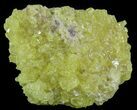Sulfur Crystals on Matrix - Bolivia #51572-2